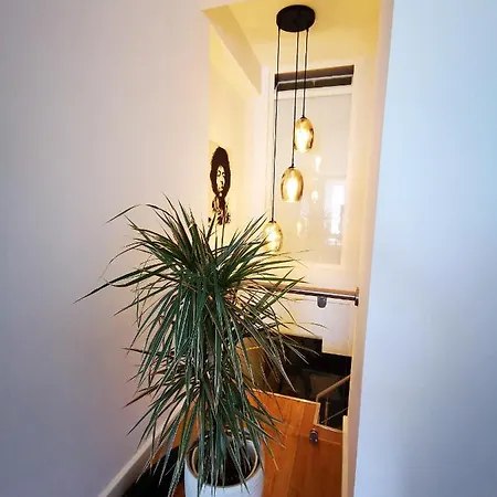 Apartment Magnifique Duplex Vue *
